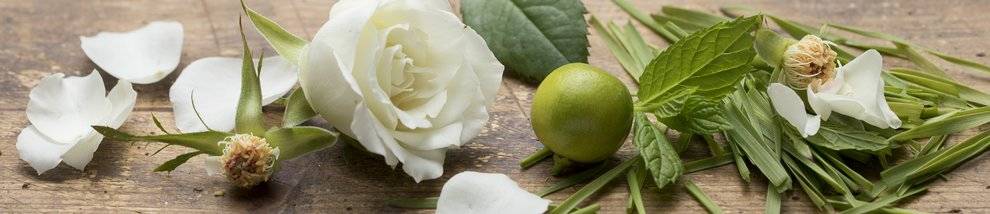 ניחוח גרין רוז