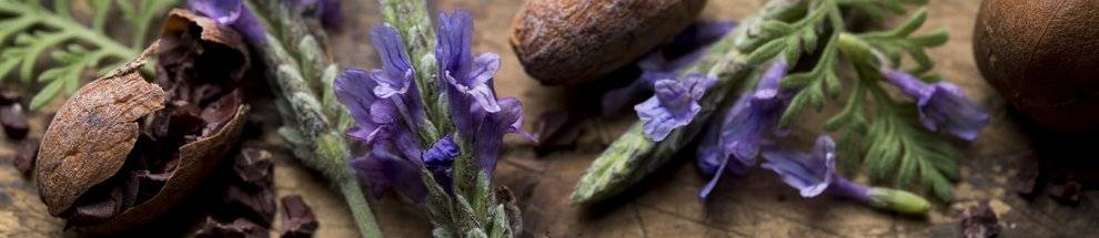ESSENCE: LAVENDER